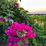 Oktapolis 빌라