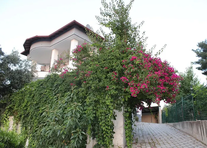 Oktapolis Villa