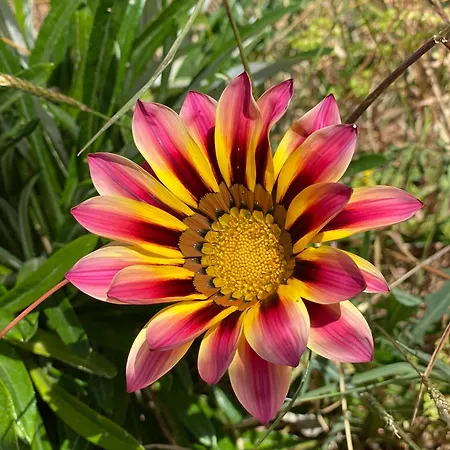 ヴィラ Oktapolis ダラマン