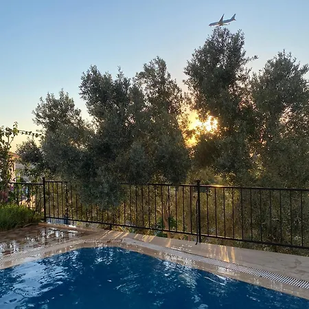 Oktapolis ダラマン