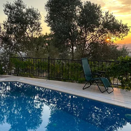 Oktapolis * ダラマン