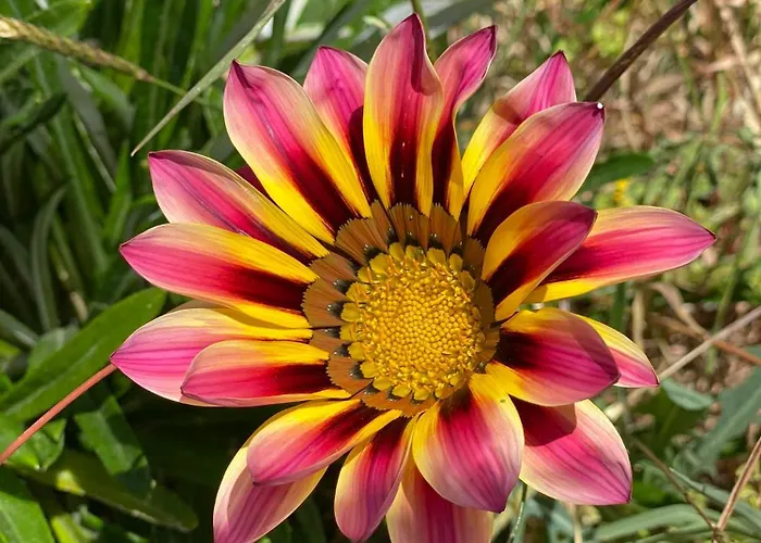 Villa Oktapolis Dalaman